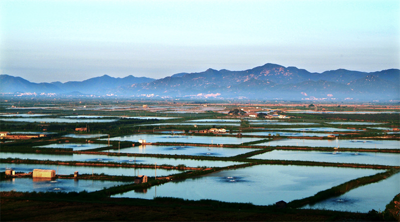 3-墩頭村鰻魚養(yǎng)殖場(chǎng) （斗山鎮(zhèn)規(guī)劃辦提供，攝于2005年）.jpg