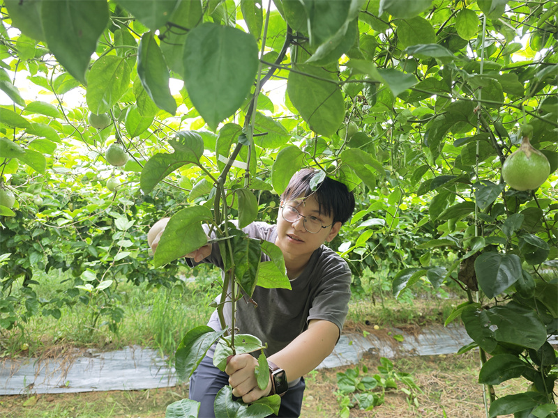 安南村選調(diào)生溫礎(chǔ)鴻.jpg